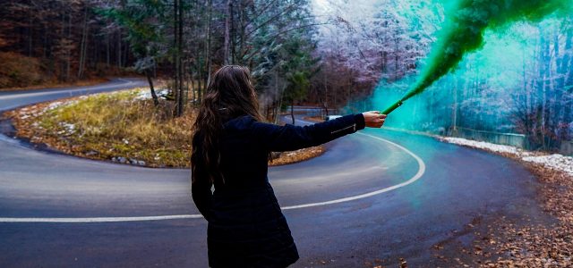 Comment utiliser un fumigène Anti-puce ? Animaux