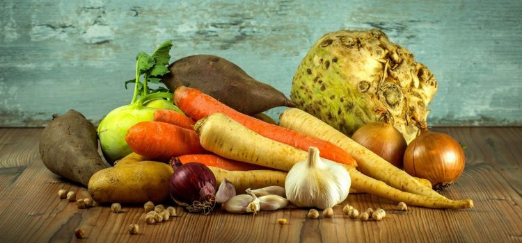 5 critères pour bien choisir son robot coupe légumes