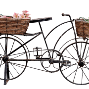 Guide pour choisir votre draisienne électrique !
