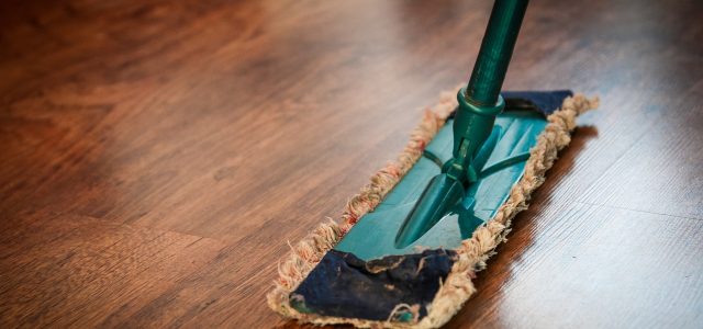 Comment lutter contre les nuisibles dans une maison ?